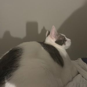 Meet your Posher, Corrinne